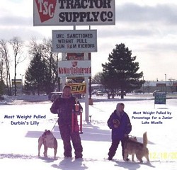 American Bulldog Weight Pull Event